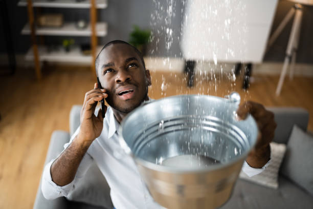 Best Flood restoration services  in Pleasant Grove, UT