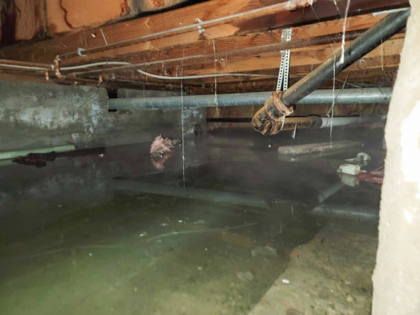 Best Emergency water damage restoration  in Pleasant Grove, UT