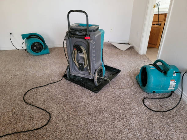 Best Water damage restoration near me  in Pleasant Grove, UT