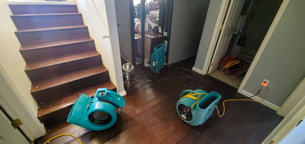 Best Commercial water damage restoration  in Pleasant Grove, UT