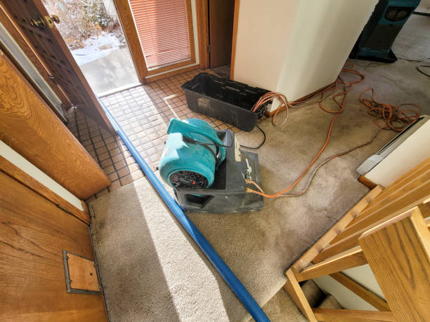 Pleasant Grove, UT Water damage restoration Company