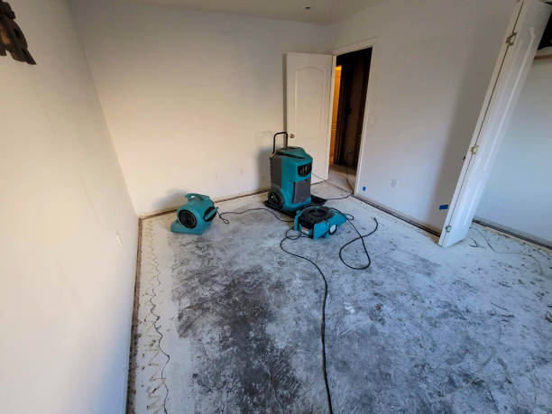 Best Professional water damage repair  in Pleasant Grove, UT
