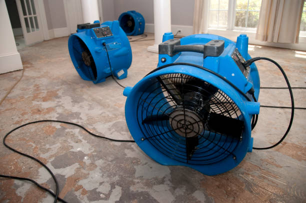 Best Water damage mitigation services  in Pleasant Grove, UT
