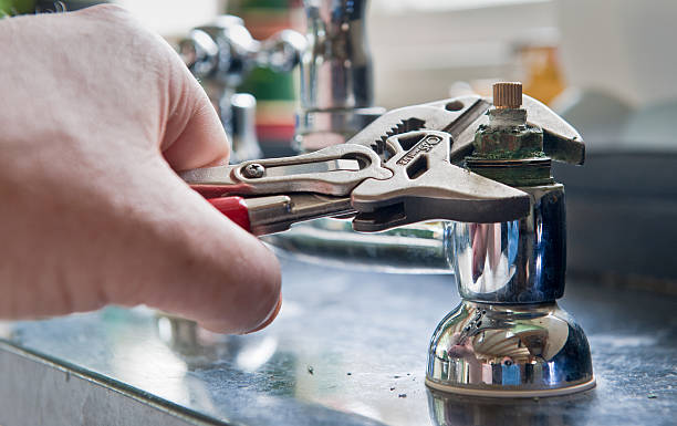 Best Mold removal after water damage  in Pleasant Grove, UT