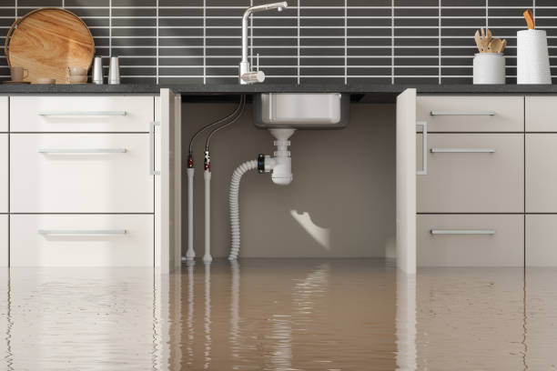 Best Carpet water damage restoration  in Pleasant Grove, UT