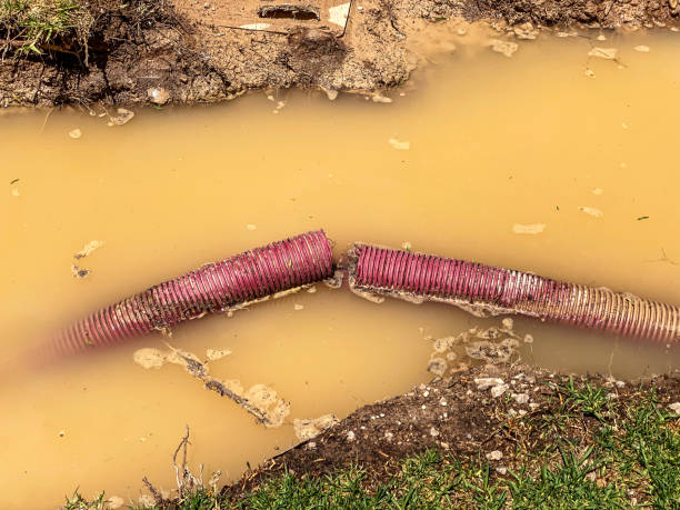 Best Residential water damage restoration  in Pleasant Grove, UT