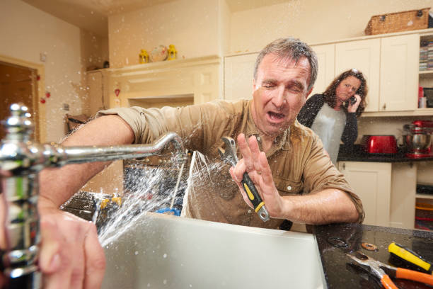 Best Basement water damage restoration  in Pleasant Grove, UT